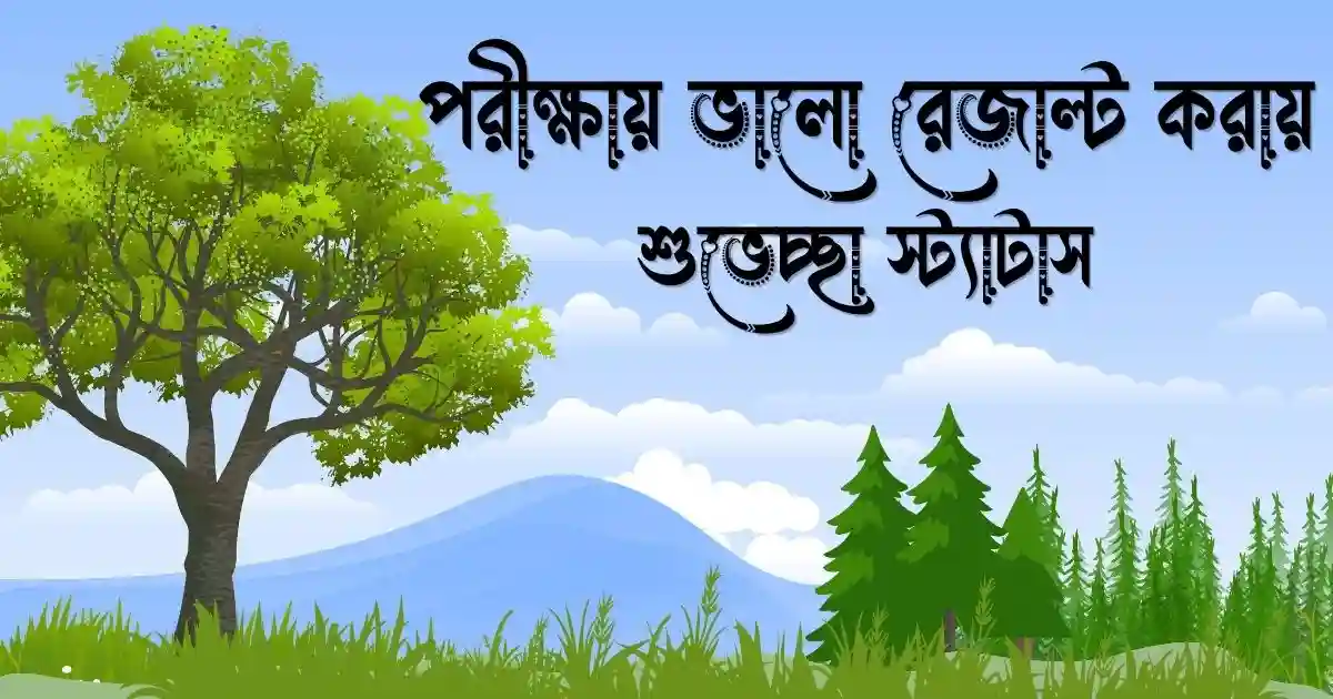 পরীক্ষায় ভালো রেজাল্ট করায় শুভেচ্ছা, ক্যাপশন ও স্ট্যাটাস