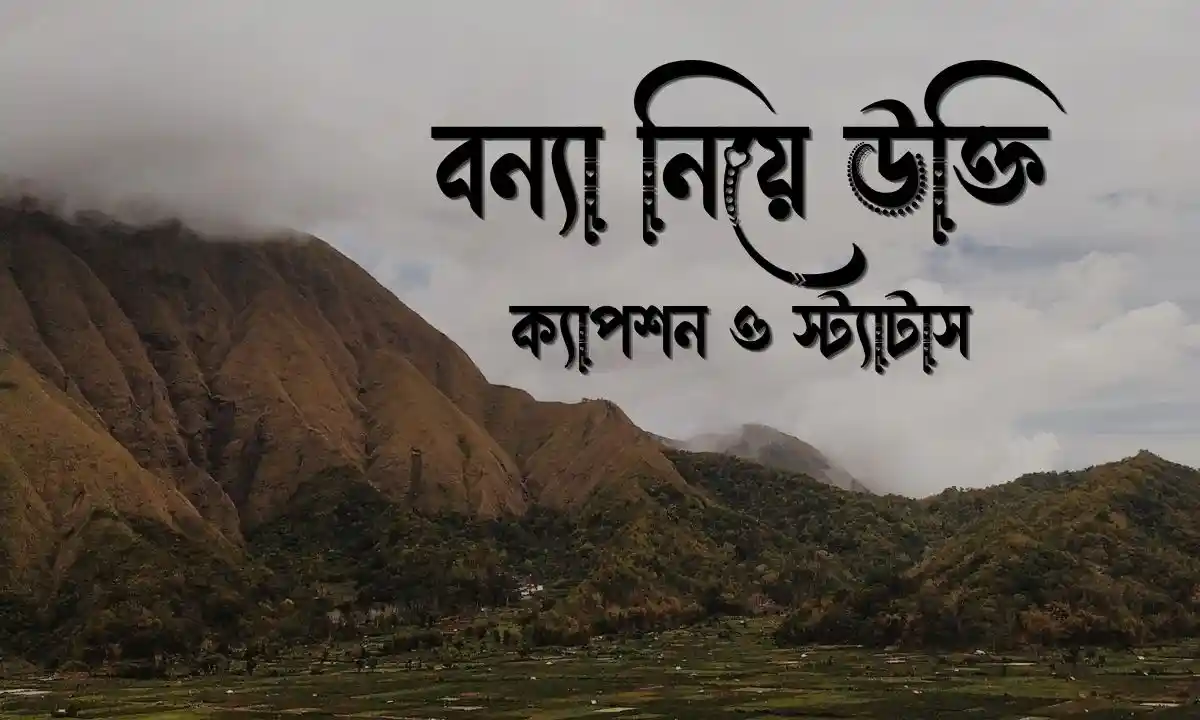 বন্যা নিয়ে উক্তি, ক্যাপশন ও স্ট্যাটাস
