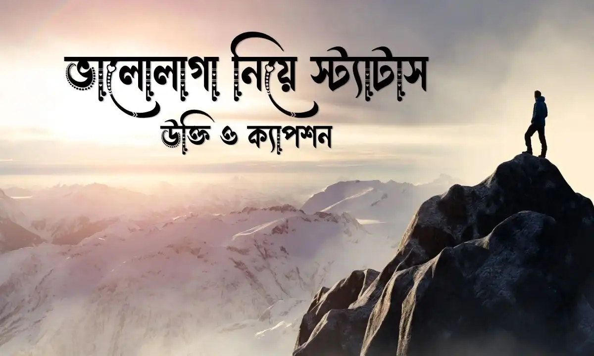 ভালোলাগা নিয়ে স্ট্যাটাস, উক্তি ও ক্যাপশন