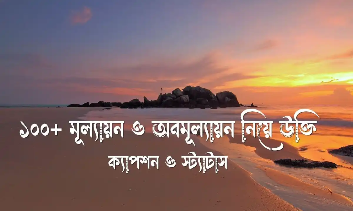 মূল্যায়ন ও অবমূল্যায়ন নিয়ে উক্তি, ক্যাপশন ও স্ট্যাটাস