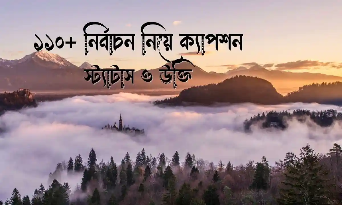 নির্বাচন নিয়ে ক্যাপশন, স্ট্যাটাস ও উক্তি