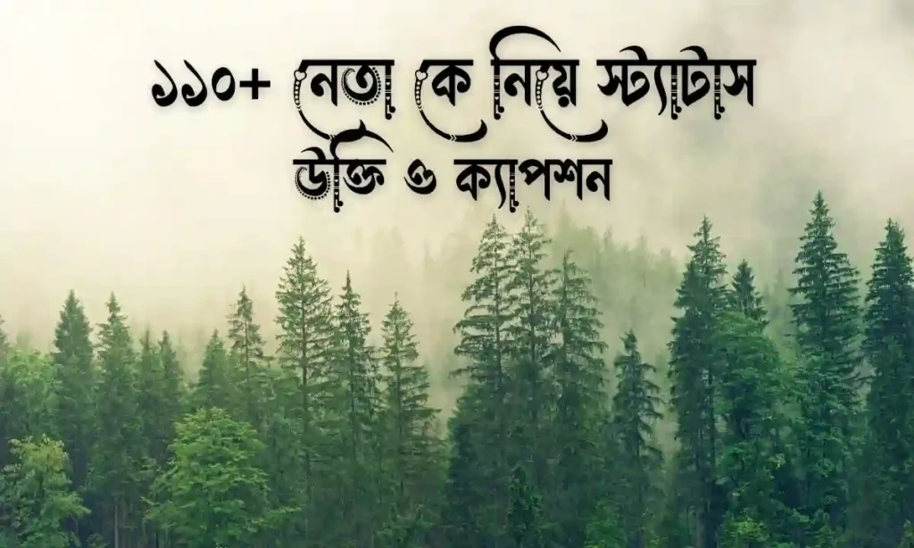 নেতা কে নিয়ে স্ট্যাটাস, উক্তি ও ক্যাপশন