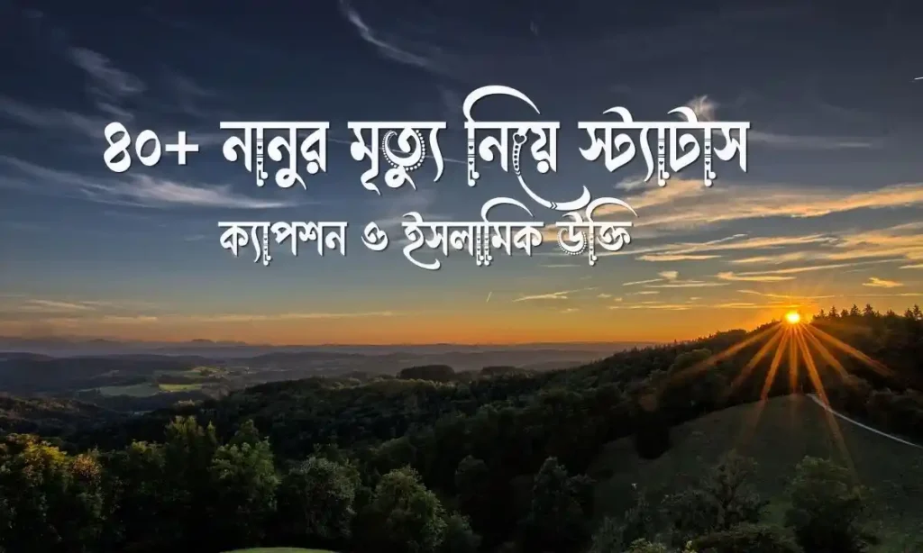নানুর মৃত্যু নিয়ে স্ট্যাটাস, ক্যাপশন ও ইসলামিক উক্তি