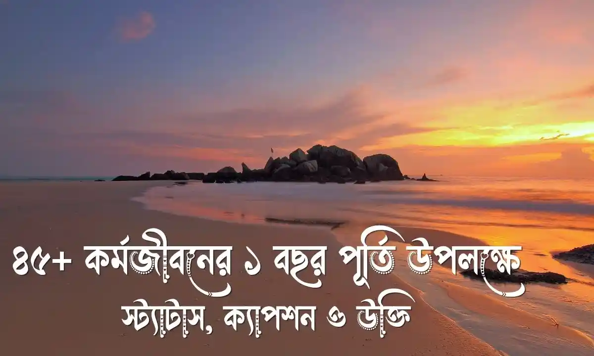 ৪৫+ কর্মজীবনের ১ বছর পূর্তি উপলক্ষে স্ট্যাটাস, ক্যাপশন ও উক্তি