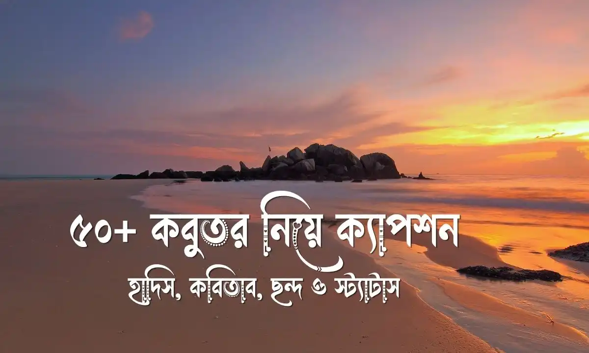 কবুতর নিয়ে ক্যাপশন,হাদিস, কবিতাব, ছন্দ ও স্ট্যাটাস