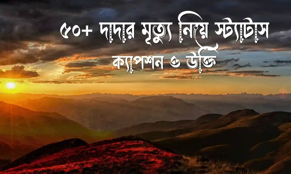 দাদার মৃত্যু নিয়ে স্ট্যাটাস, ক্যাপশন ও উক্তি