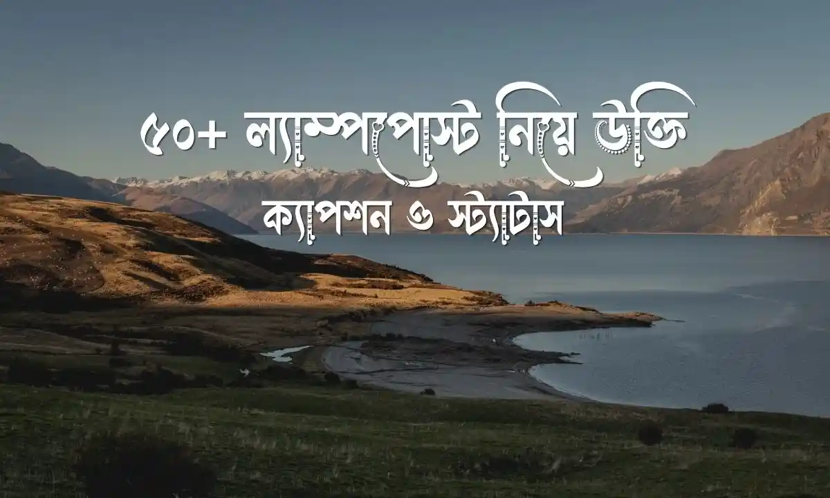 ল্যাম্পপোস্ট নিয়ে উক্তি, ক্যাপশন ও স্ট্যাটাস