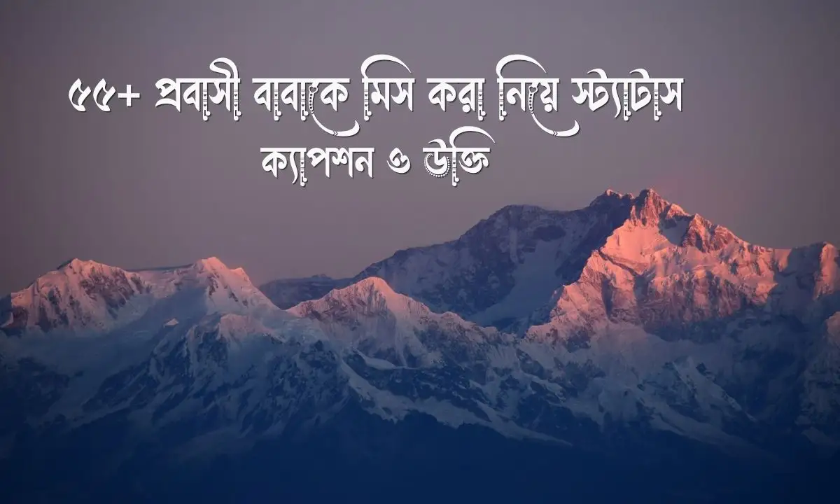 প্রবাসী বাবাকে মিস করা নিয়ে স্ট্যাটাস, ক্যাপশন ও উক্তি