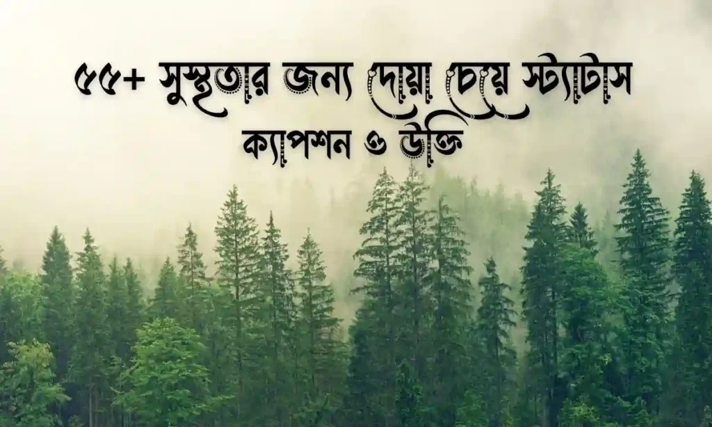 সুস্থতার জন্য দোয়া চেয়ে স্ট্যাটাস, ক্যাপশন ও উক্তি