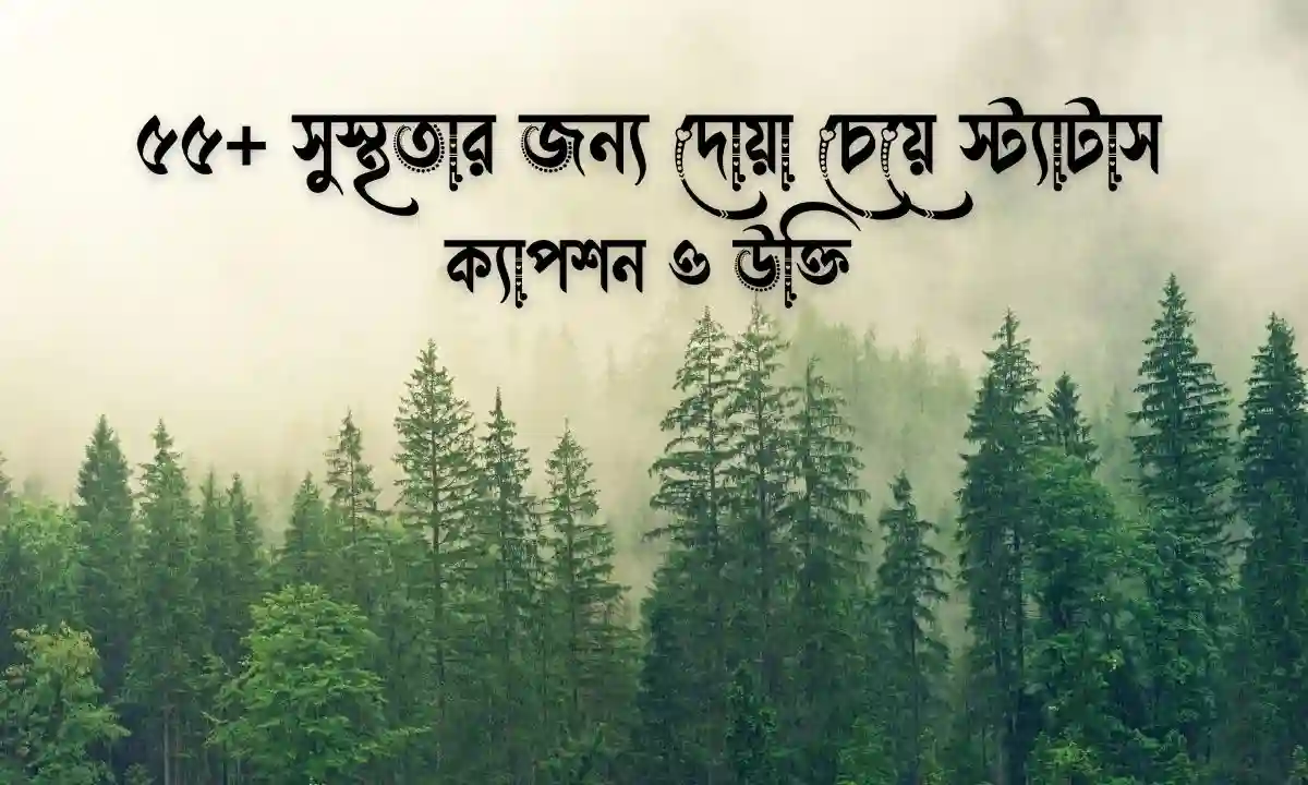সুস্থতার জন্য দোয়া চেয়ে স্ট্যাটাস, ক্যাপশন ও উক্তি