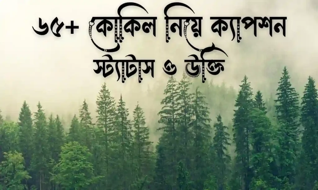 ৬৫+ কোকিল নিয়ে ক্যাপশন, স্ট্যাটাস ও উক্তি