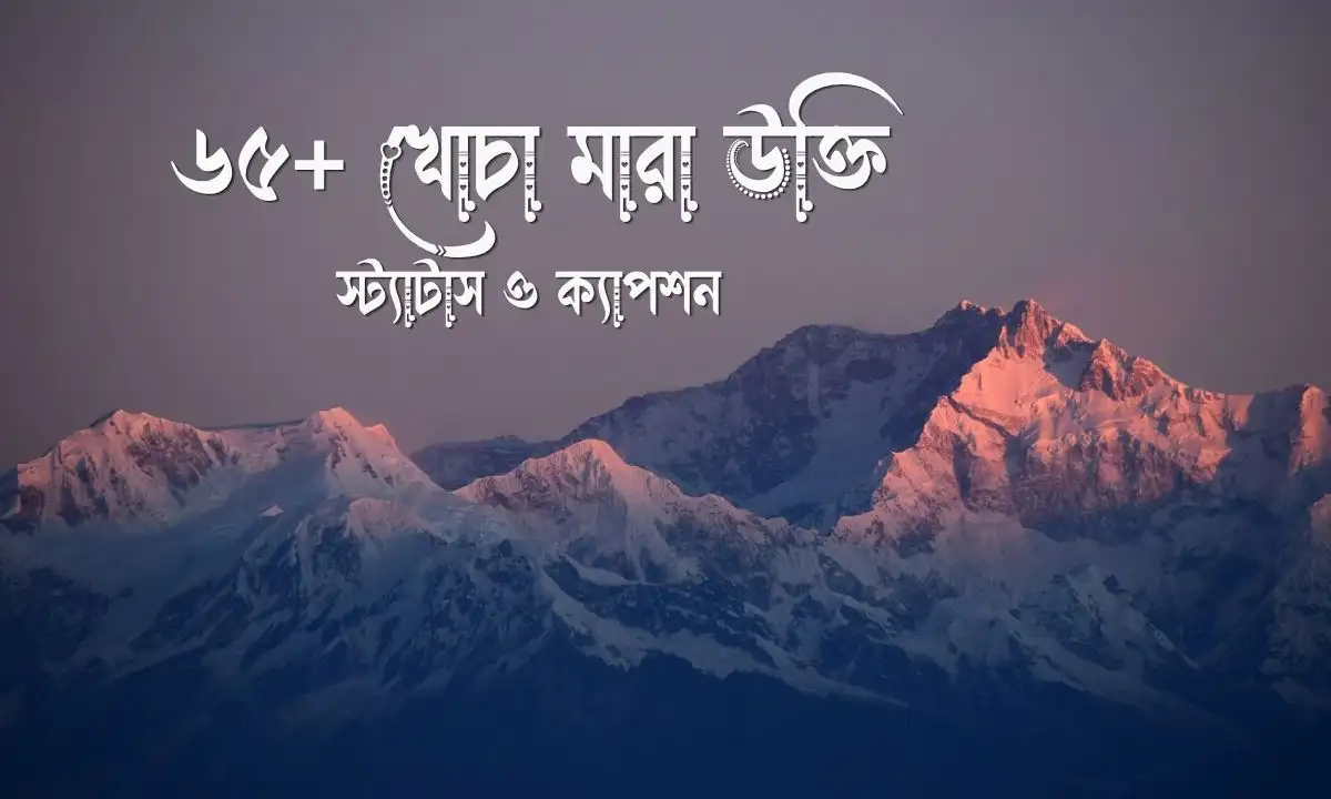 খোচা মারা উক্তি, স্ট্যাটাস ও ক্যাপশন