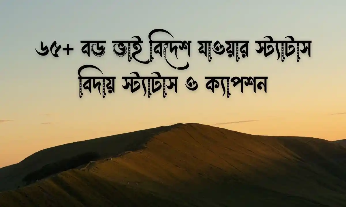 ৬৫+ বড় ভাই বিদেশ যাওয়ার স্ট্যাটাস, বিদায় স্ট্যাটাস ও ক্যাপশন