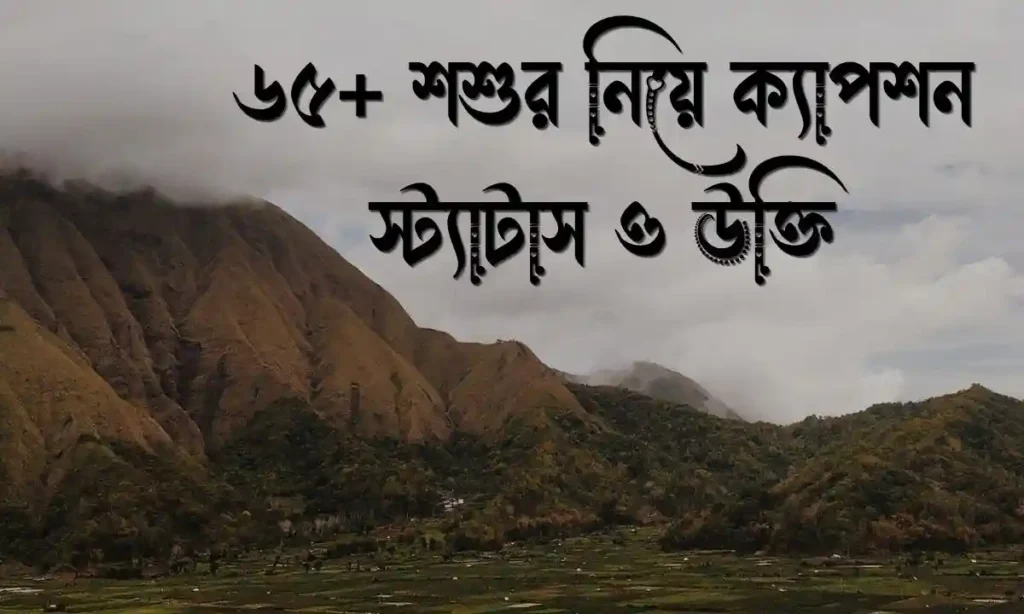 ৬৫+ শশুর নিয়ে ক্যাপশন, স্ট্যাটাস ও উক্তি
