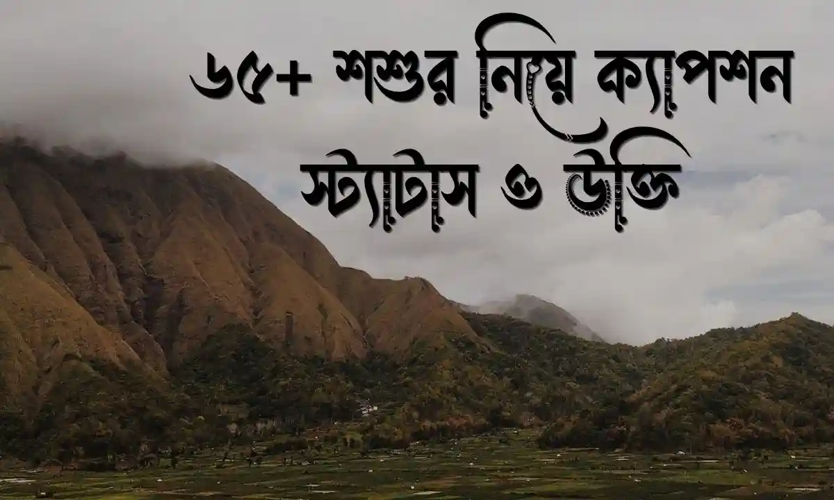 ৬৫+ শশুর নিয়ে ক্যাপশন, স্ট্যাটাস ও উক্তি