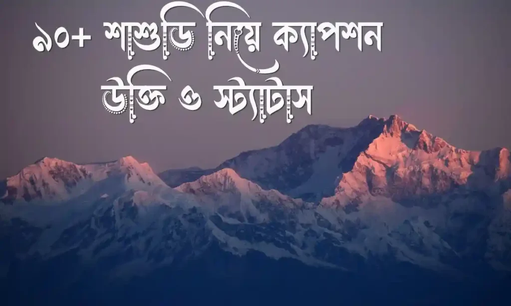 ৯০+ শাশুড়ি নিয়ে ক্যাপশন, উক্তি ও স্ট্যাটাস